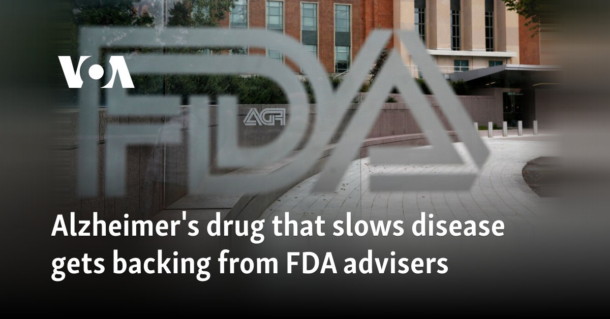 Alzheimer’s drug that slows disease gets backing from FDA advisers