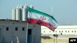 一面伊朗國旗在布什爾核電廠前飄揚。 （2019年11月10日）