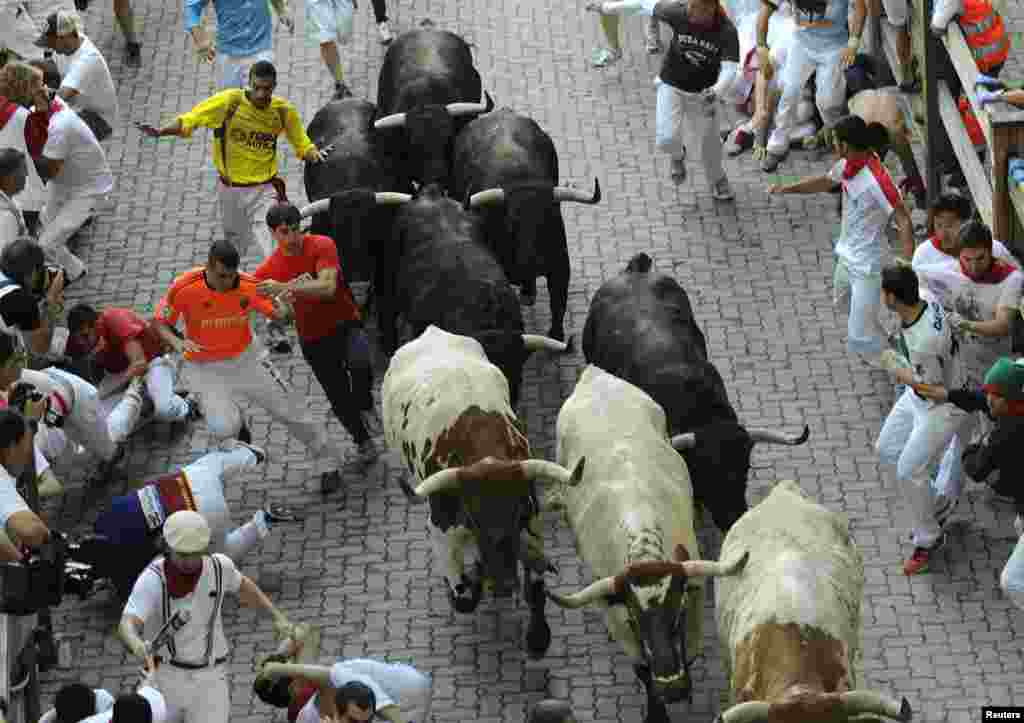 Runners fall as they run from Victoriano del Rio fighting bulls at the entrance to the bullring during the fourth running of the bulls of the San Fermin festival in Pamplona July 10, 2013. Several runners suffered light injuries in a run that lasted two m