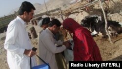 ډيټي کمشنر وئيلي د پېښې وروستو په علاقه کې د پوليو کمپائن نه دی ودورول شوی .