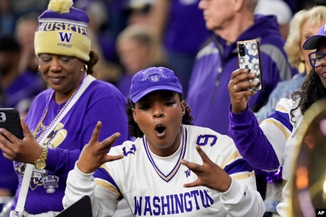 FILE - University of Washington fans cheer for their team before the college football national championship game in Houston, Texas on Jan. 8, 2024. (AP Photo/David J. Phillip)