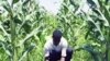 Hunger Looms as Support for Haiti's Farmers Falls Short