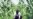 Relief Efforts Shift to Rebuilding Haiti's Agriculture