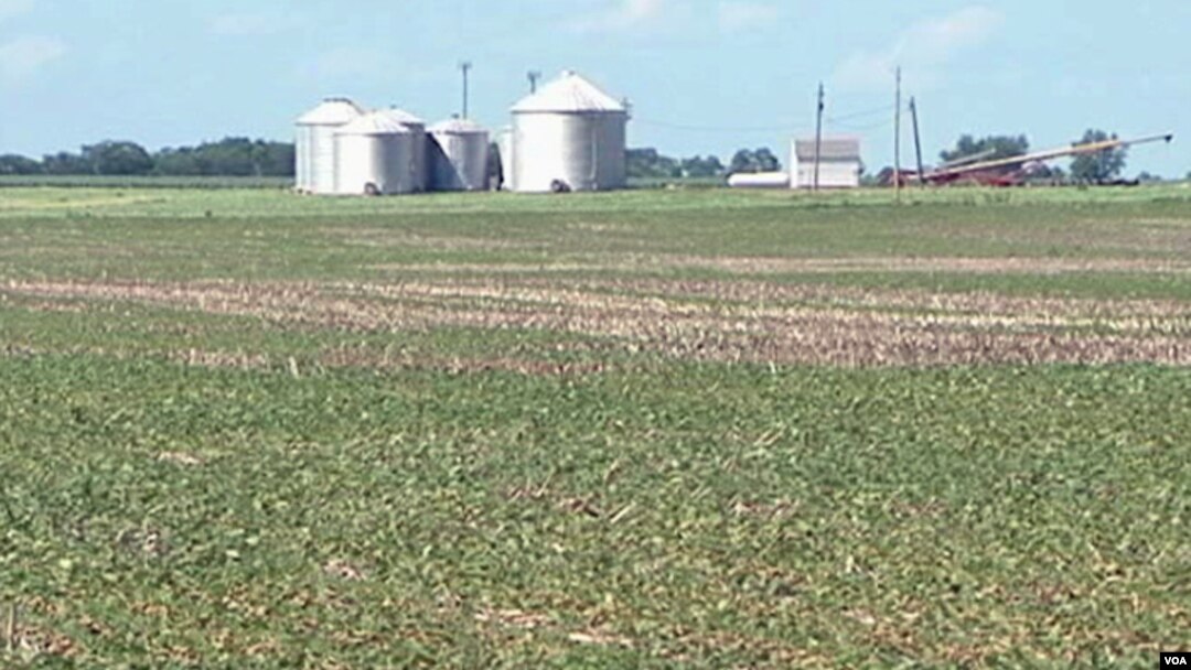 US drought and crops 2
