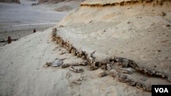 Sunrise exposes ancient whale bones in the Valley of Whales, in Fayoum, Egypt, Aug. 12, 2017. (H. Elrasam/VOA)