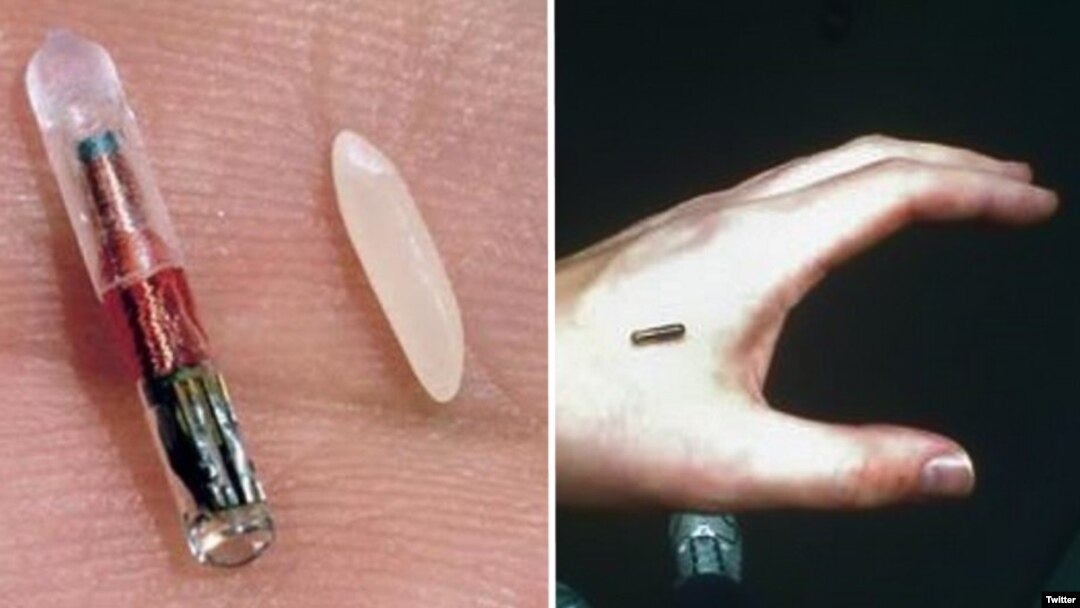 Microchip Implant from Three Square Market