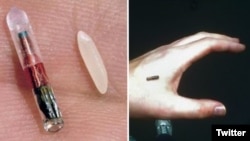 Microchip Implant from Three Square Market