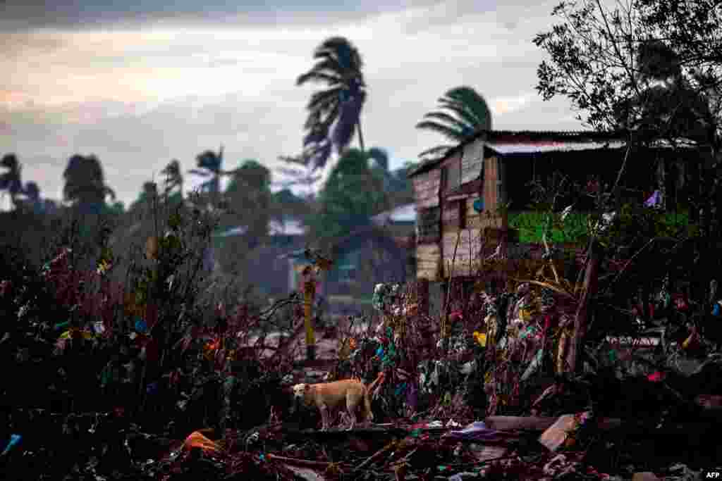 허리케인 에타가 지나간 니카라과 푸에르토 카베사스(Puerto Cabezas)의 가옥들이 파괴됐다. 미국 국립허리케인센터는 에타에 이어 허리케인 이오타가 니카라과를 강타할 것이라고 밝혔다. 