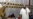 NATO Dismisses Libyan Rebels' Criticism