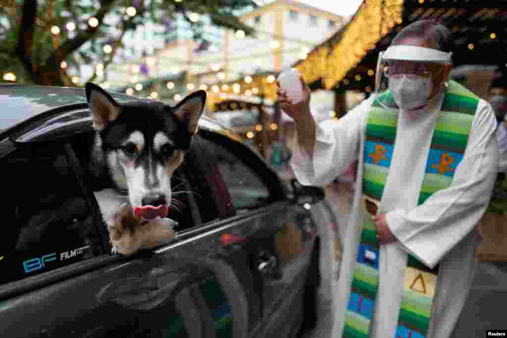 A priest sprinkles holy water as dogs look out from the car window at a drive-through pet blessing, a day before World Animal Day, at Eastwood Mall in Quezon City, Metro Manila, Philippines.