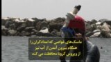 ماسک غواصی که امدادگران را حتی هنگام بیرون آمدن از آب نیز در برابر ویروس کرونا محافظت می‌کند