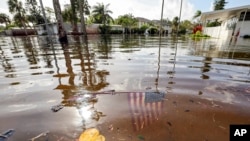 AP Top Photos of the Month September 2024