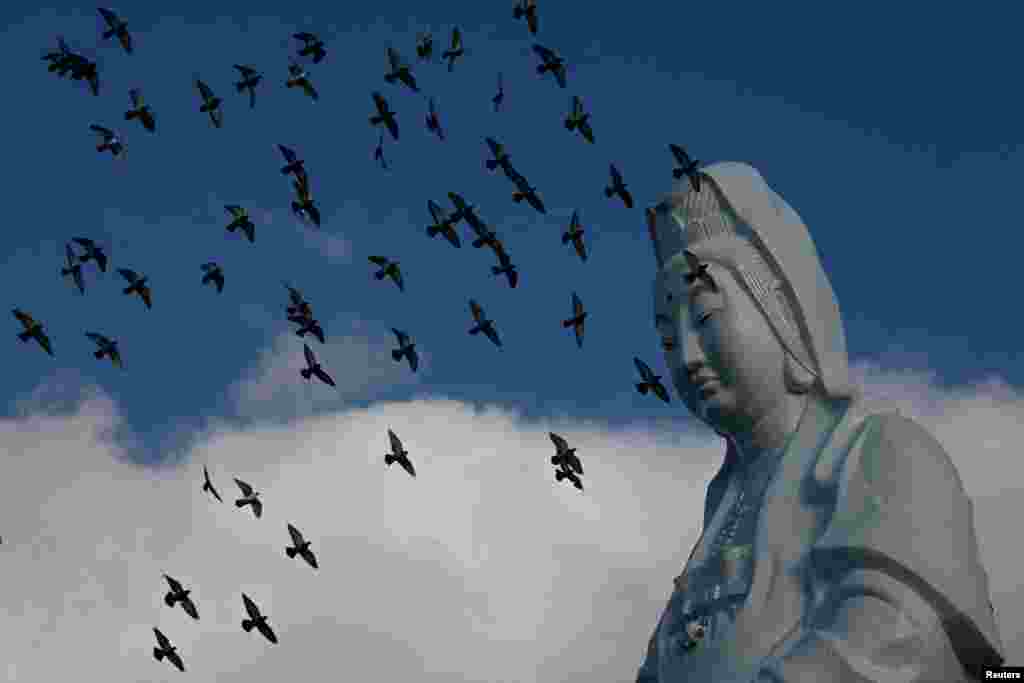 Pigeons fly past a statue of Guanyin, a deity venerated in Buddhism at a temple in Keelung, Taiwan.