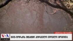 ამერიკა 60 წამში, 20 ნოემბერი 2017