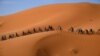 Competitors ride their bikes along sand dunes during the Stage 1 of the 14th edition of Titan Desert 2019 mountain biking race around Merzouga in Morocco.