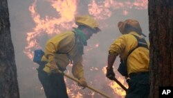 Los bomberos llevan días luchando infructuosamente contra el fuego en Bosque Negro.