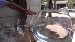 Musician Plays Glasses Filled with Water