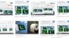 پرچم پاکستان به جای کاغذ تشناب؛ اشتباه گوگل؟