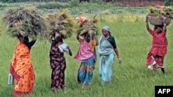 Kadın Çiftçilere Destek Çağrısı