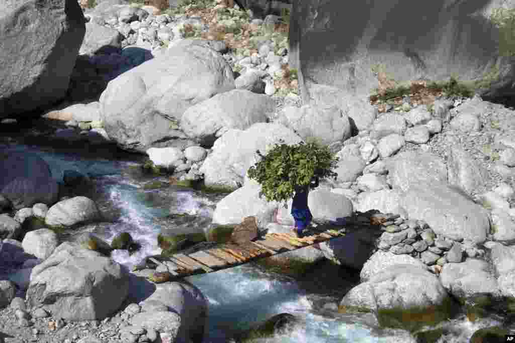 A woman carrying a large bundle of leaves crosses a wood bridge, near Ghera village in Dharmsala, India.