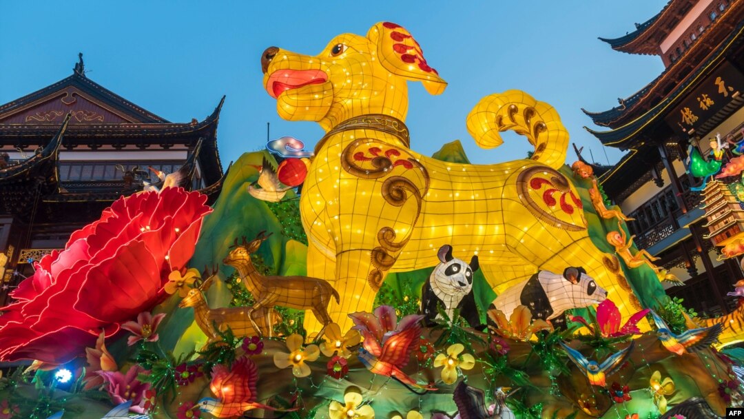 Lồng đèn Mậu Tuất cao 9 mét được trưng bày ở Thượng Hải trong không khí đón mừng năm mới. 
