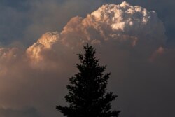The Bootleg Fire smoke plume grows over a single tree on July, 12, 2021, near Bly, Ore.