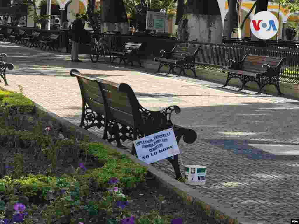 Algunas personas no se olvidan de los perritos callejeros. [Foto: Fabiola Chambi, VOA]