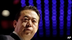 Meng Hongwei, predsjednik Interpola