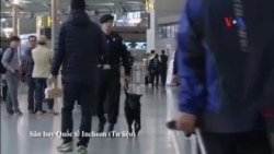 Cảnh sát Hàn Quốc truy lùng người Việt ‘lẻn’ qua cửa an ninh sân bay