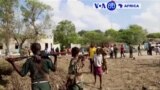 Manchetes Africanas 12 Dezembro 2016: al-Shababa volta a atacar na Somália