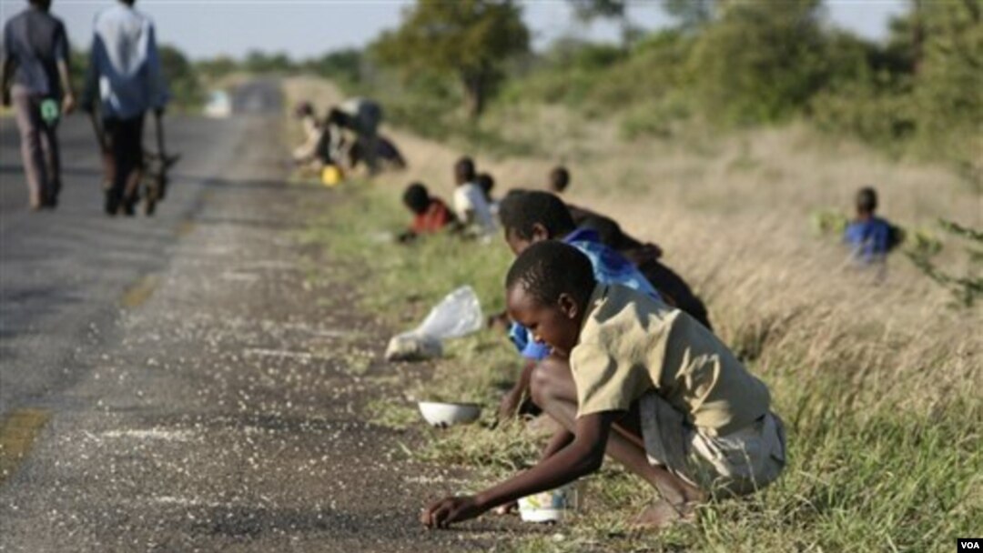 Anak-anak dan orang tua sedang memungut jagung yang jatuh di jalanan dari sebuah truk di Zimbabwe (foto: dokumentasi)