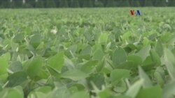 Tierra saludable, ganancias saludables