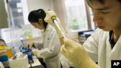 FILE - A lab officer carries out a DNA extraction from cells as part of a process to look for molecular markers containing cancer cells in a patient.