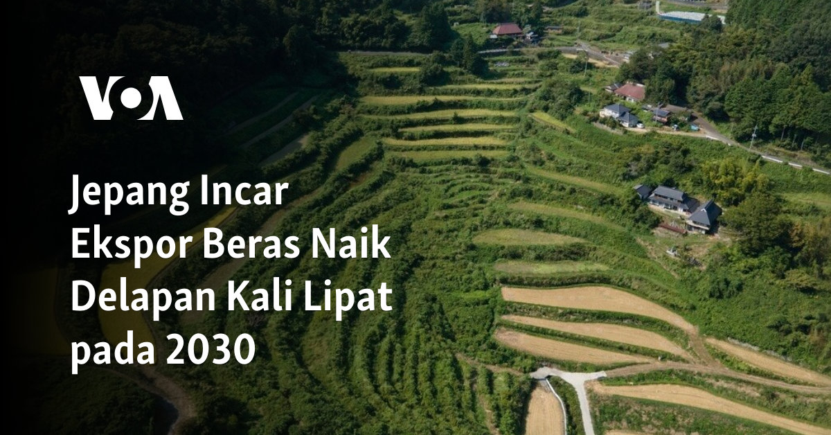 Jepang Incar Ekspor Beras Naik Delapan Kali Lipat pada 2030