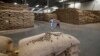 Les pays africains producteurs de noix de cajou créent leur organisation pour conquérir le marché