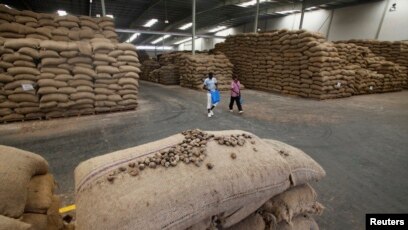 La Côte d'Ivoire, leader mondial de la noix de cajou, veut conquérir le  marché américain