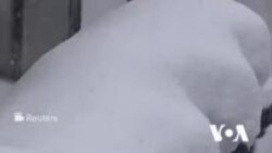 Reshje të dendura dëbore shkaktojnë probleme në Japoni 