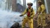 Petugas Hampir Padamkan Seluruh Kebakaran Hutan di California