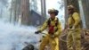 Petugas Padamkan 75 Persen Kebakaran Hutan AS