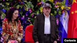 Nicaraguan President Daniel Ortega. (File)