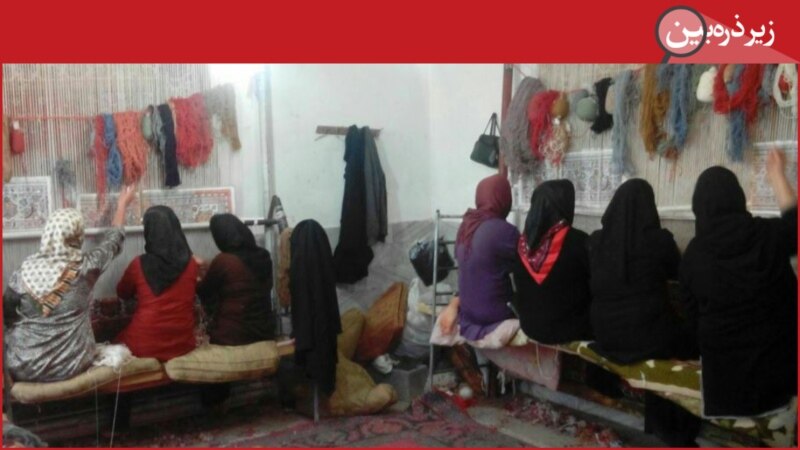 , واقعیتهایی از داخل ایران| بیمه ۲۰۰ هزار قالیباف قطع شد, آخرین اخبار ایران و جهان و فید های خبری روز, آخرین اخبار ایران و جهان و فید های خبری روز