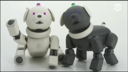 Настоящее Время. Америка – 3 ноября 2017