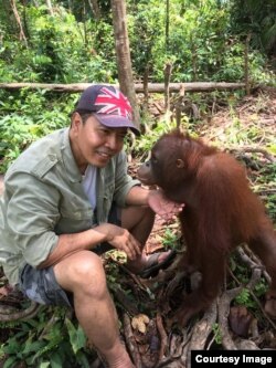 Yan Wiramidjaja bersama orangutan di Kalimantan (foto: courtesy).