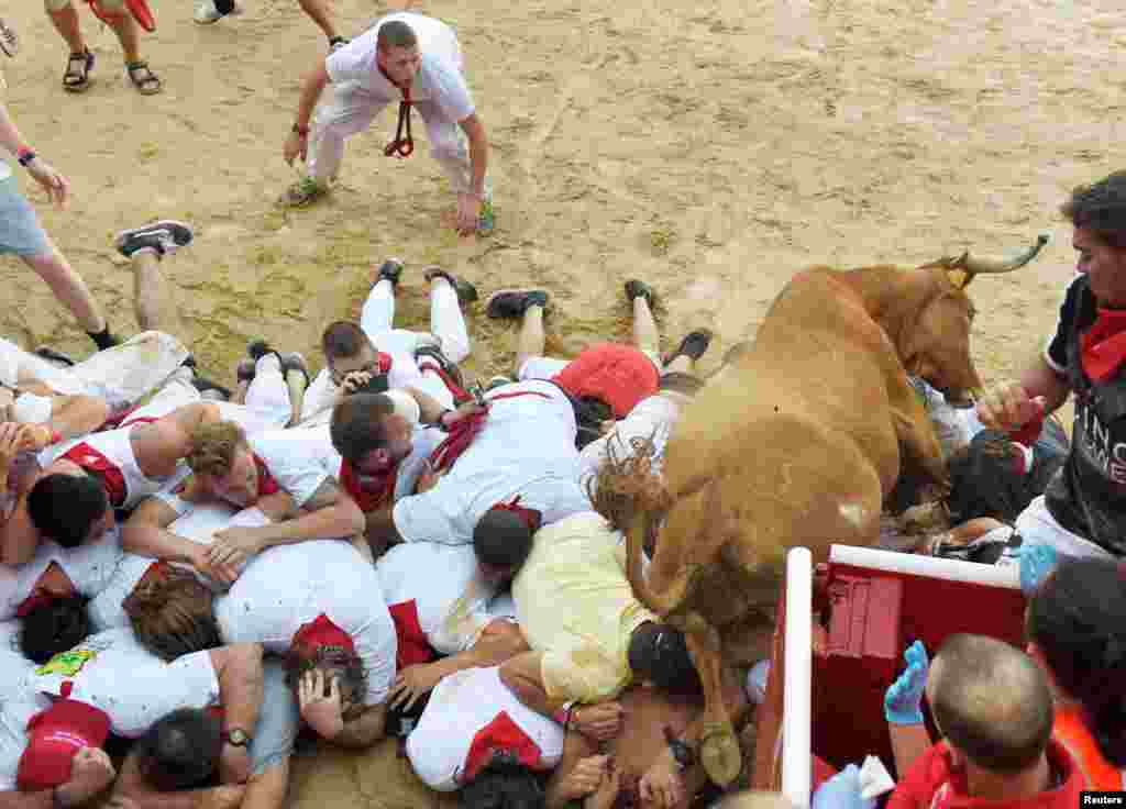 San Fermin festivalının ilk günündə öküz iştirakçıların üzərindən tullanır. Pamplona, İspaniya. 7 iyul, 2016.