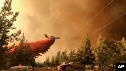 Foto yang dipublikasikan Departemen Kehutanan Oregon menunjukkan sebuah kapal tanker pemadam kebakaran melakukan penurunan di atas Grandview Fire dekat Sisters, Ore., Minggu, 11 Juli 2021.(Foto: AP)