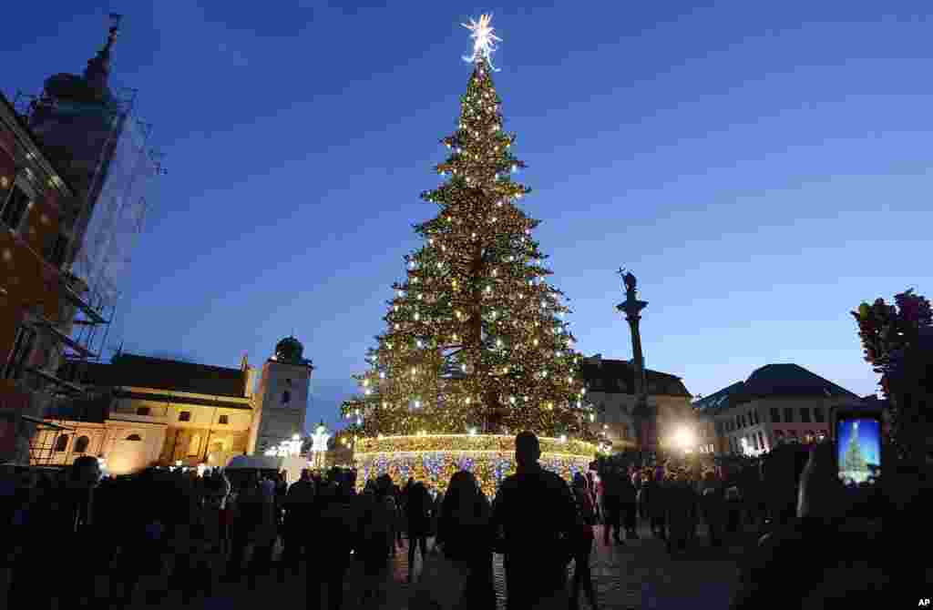 تماشای گروهی از مردم به تزئین و چراغانی درخت کریسمس در ورشو لهستان