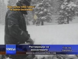 Реставрација на екосистемите