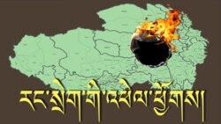 Tibet’s Self-Immolations: Impact and Reactions 