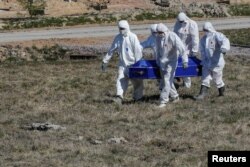 روس کے شہر پیٹس برگ میں کرونا کی وبا سے ہلاک ہونے والے شخص کو سپرد خاک کرنے کے لیے لانے والے حفاظتی لباس پہنے ہوئے ہیں۔