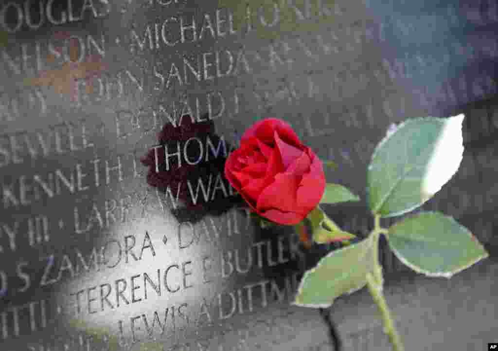 Une rose sur le mémorial des anciens combattants du Vietnam. REUTERS/Yuri Gripas (UNITED ST